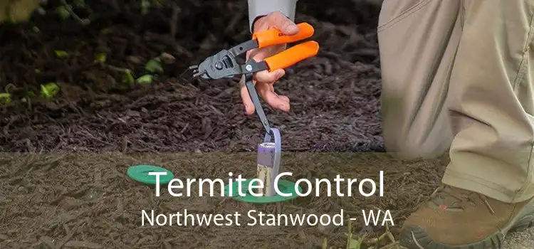 Termite Control Northwest Stanwood - WA
