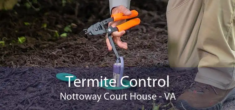 Termite Control Nottoway Court House - VA