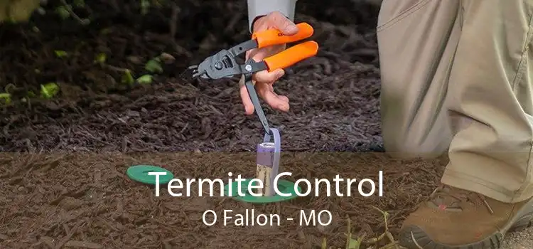 Termite Control O Fallon - MO