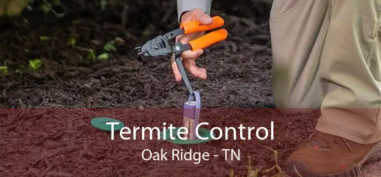 Termite Control Oak Ridge - TN