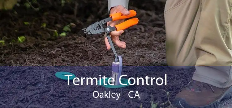 Termite Control Oakley - CA