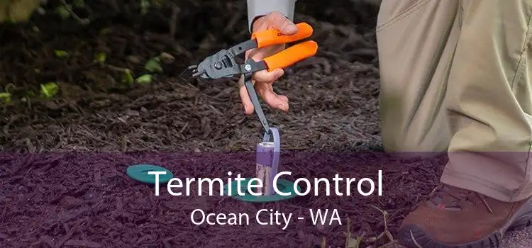 Termite Control Ocean City - WA