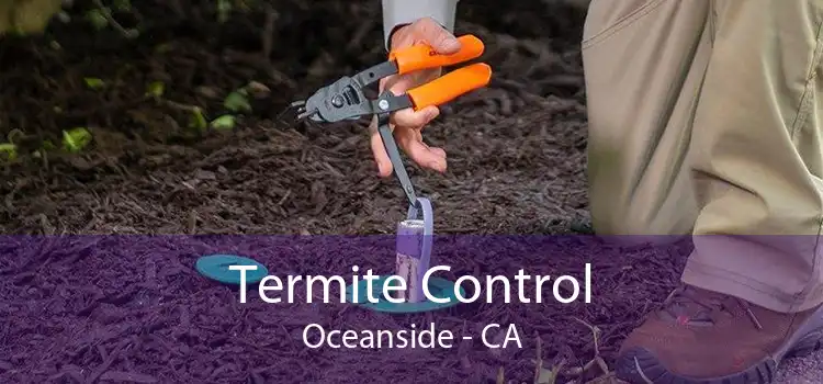 Termite Control Oceanside - CA