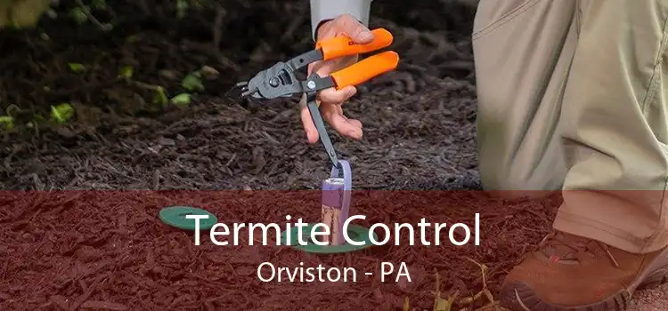 Termite Control Orviston - PA