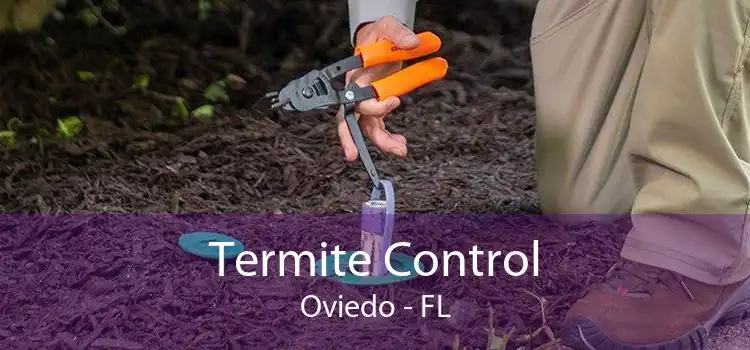 Termite Control Oviedo - FL
