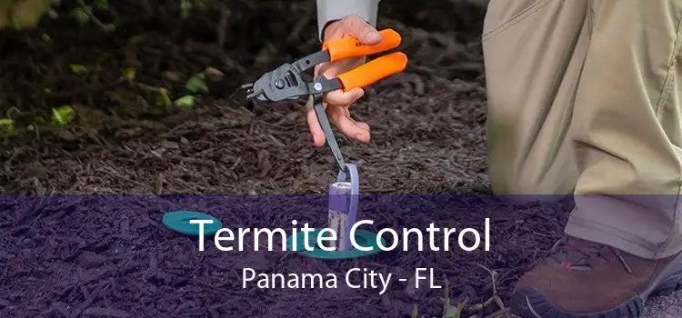 Termite Control Panama City - FL