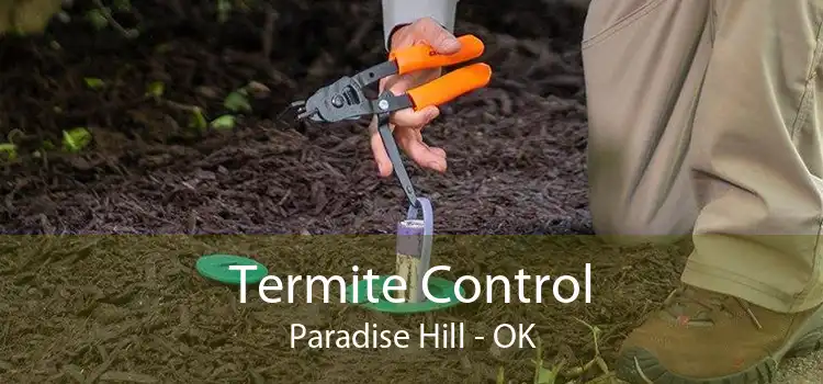 Termite Control Paradise Hill - OK