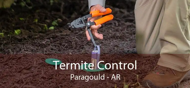 Termite Control Paragould - AR