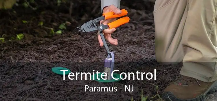 Termite Control Paramus - NJ