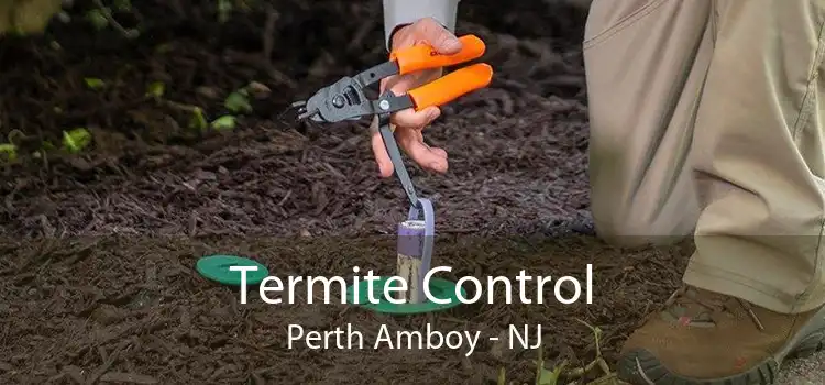 Termite Control Perth Amboy - NJ