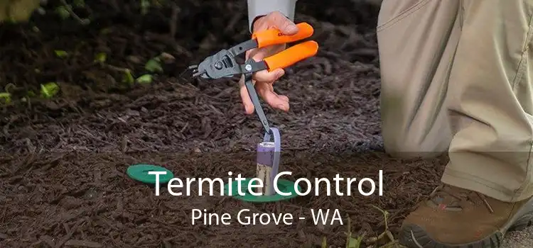 Termite Control Pine Grove - WA