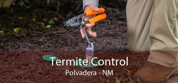Termite Control Polvadera - NM