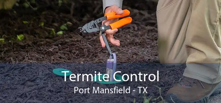 Termite Control Port Mansfield - TX