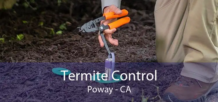 Termite Control Poway - CA