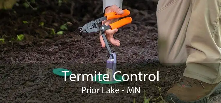 Termite Control Prior Lake - MN