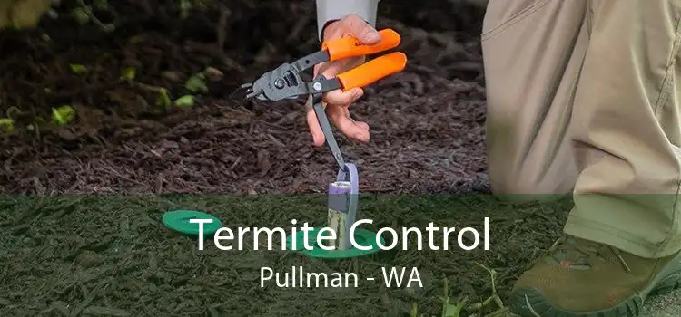 Termite Control Pullman - WA