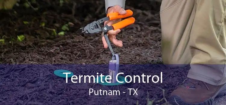 Termite Control Putnam - TX