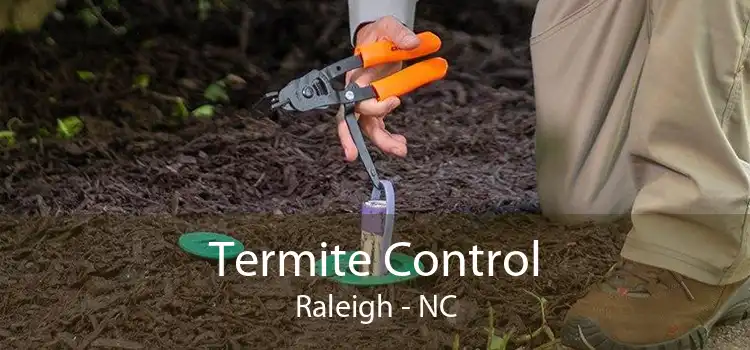 Termite Control Raleigh - NC