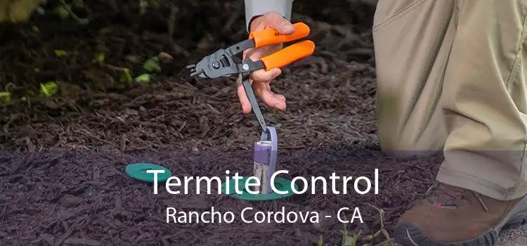 Termite Control Rancho Cordova - CA