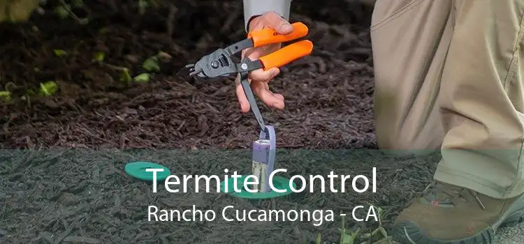 Termite Control Rancho Cucamonga - CA
