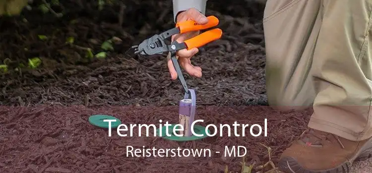 Termite Control Reisterstown - MD