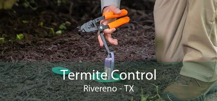 Termite Control Rivereno - TX