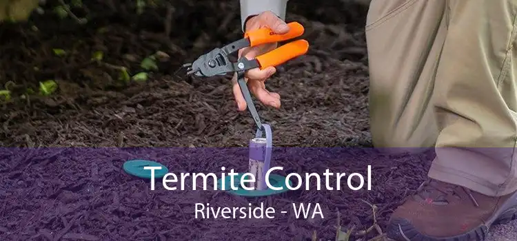 Termite Control Riverside - WA