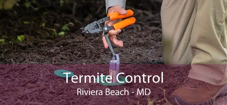 Termite Control Riviera Beach - MD