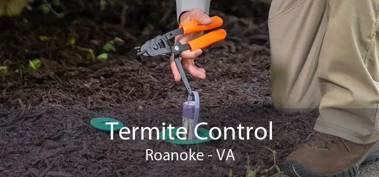 Termite Control Roanoke - VA