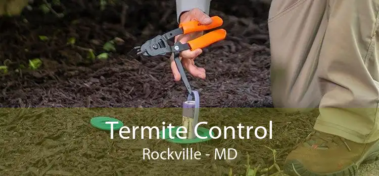 Termite Control Rockville - MD