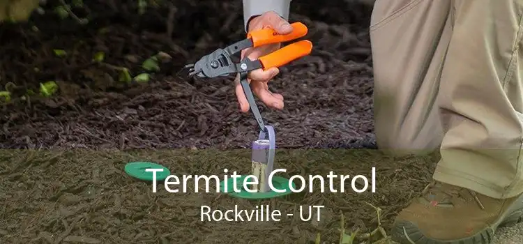 Termite Control Rockville - UT