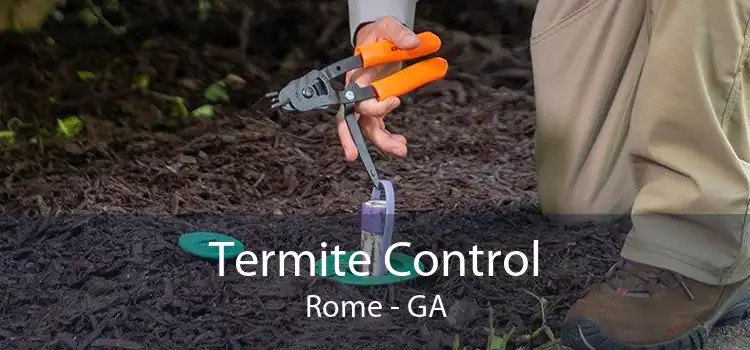 Termite Control Rome - GA