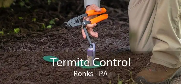 Termite Control Ronks - PA