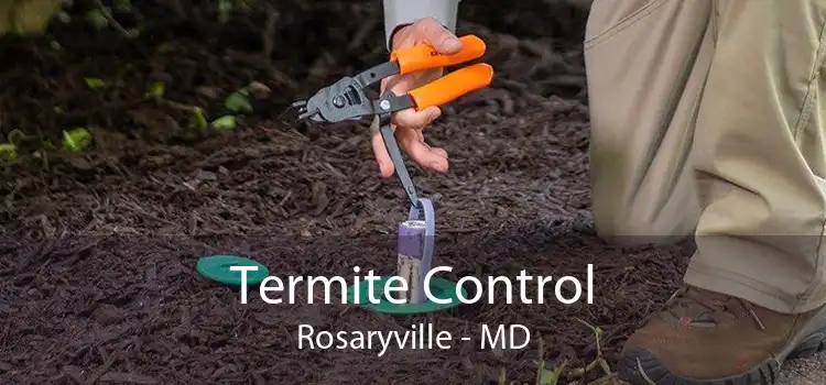 Termite Control Rosaryville - MD