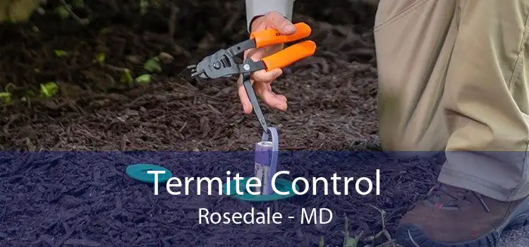 Termite Control Rosedale - MD