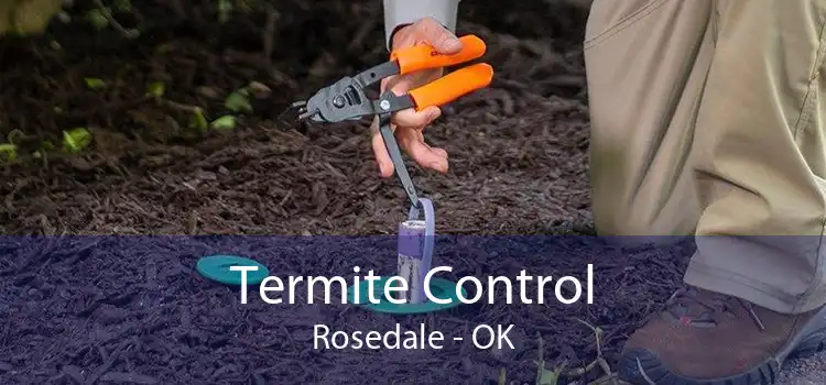 Termite Control Rosedale - OK