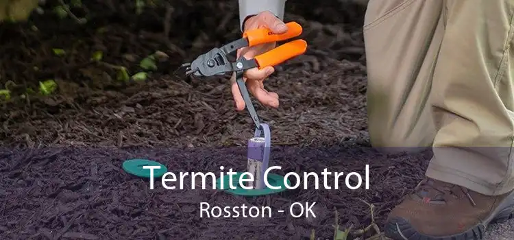 Termite Control Rosston - OK