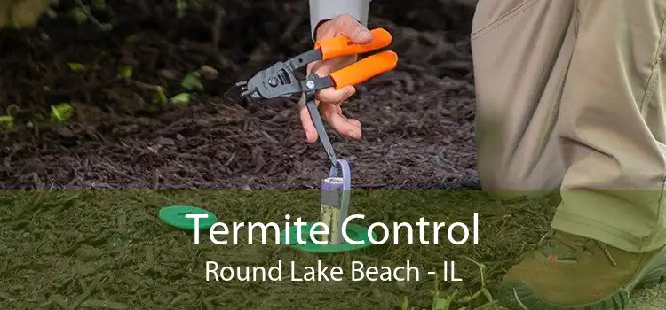 Termite Control Round Lake Beach - IL