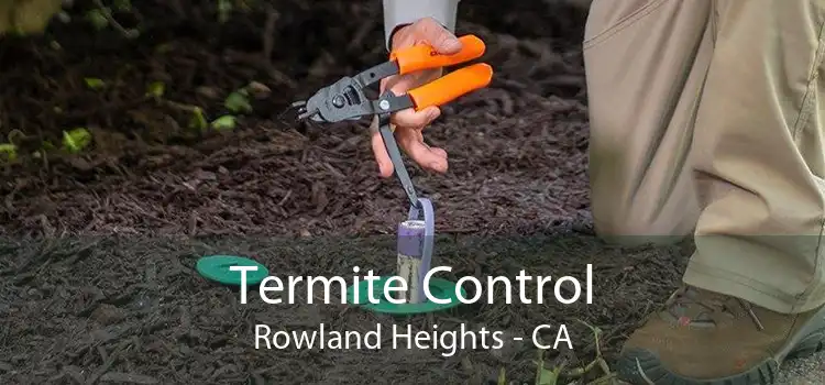 Termite Control Rowland Heights - CA