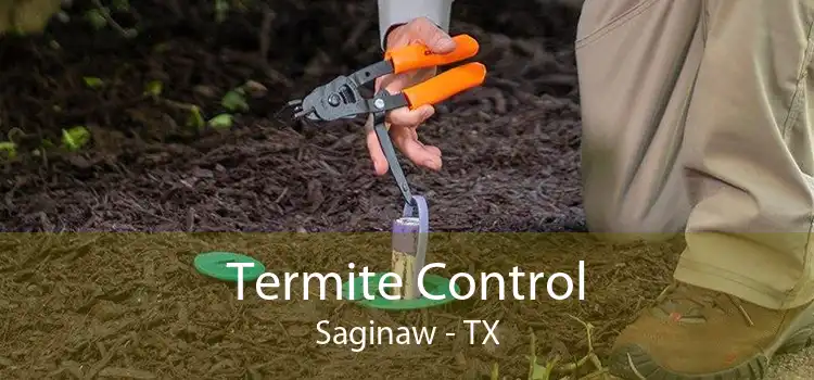 Termite Control Saginaw - TX