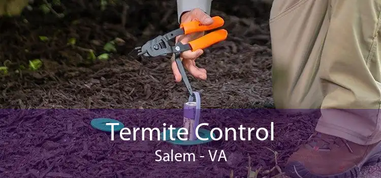Termite Control Salem - VA