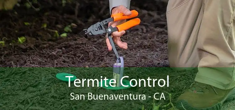 Termite Control San Buenaventura - CA