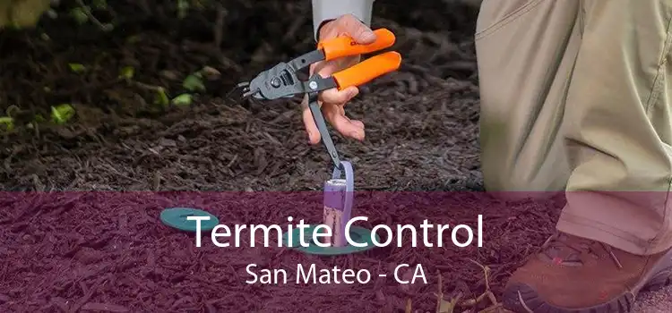 Termite Control San Mateo - CA