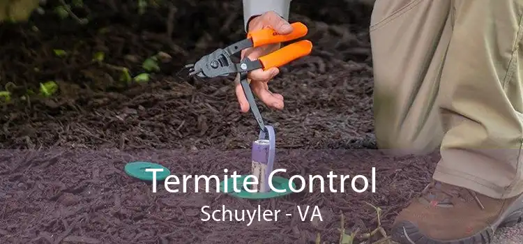 Termite Control Schuyler - VA