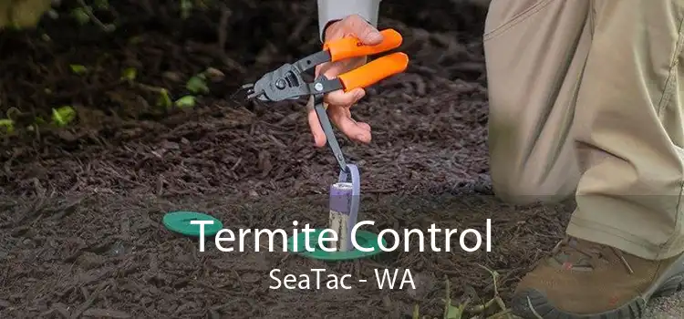 Termite Control SeaTac - WA