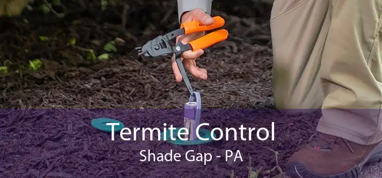Termite Control Shade Gap - PA