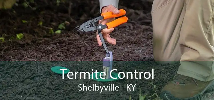 Termite Control Shelbyville - KY