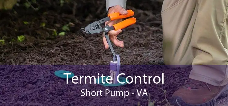 Termite Control Short Pump - VA