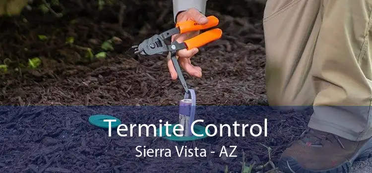 Termite Control Sierra Vista - AZ
