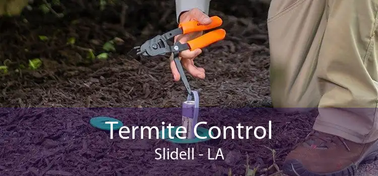 Termite Control Slidell - LA